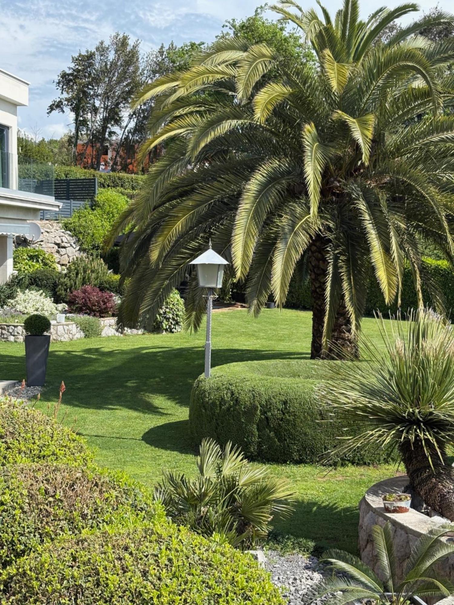 Bed And Breakfast Villa Iris Mošćenička Draga Exterior foto
