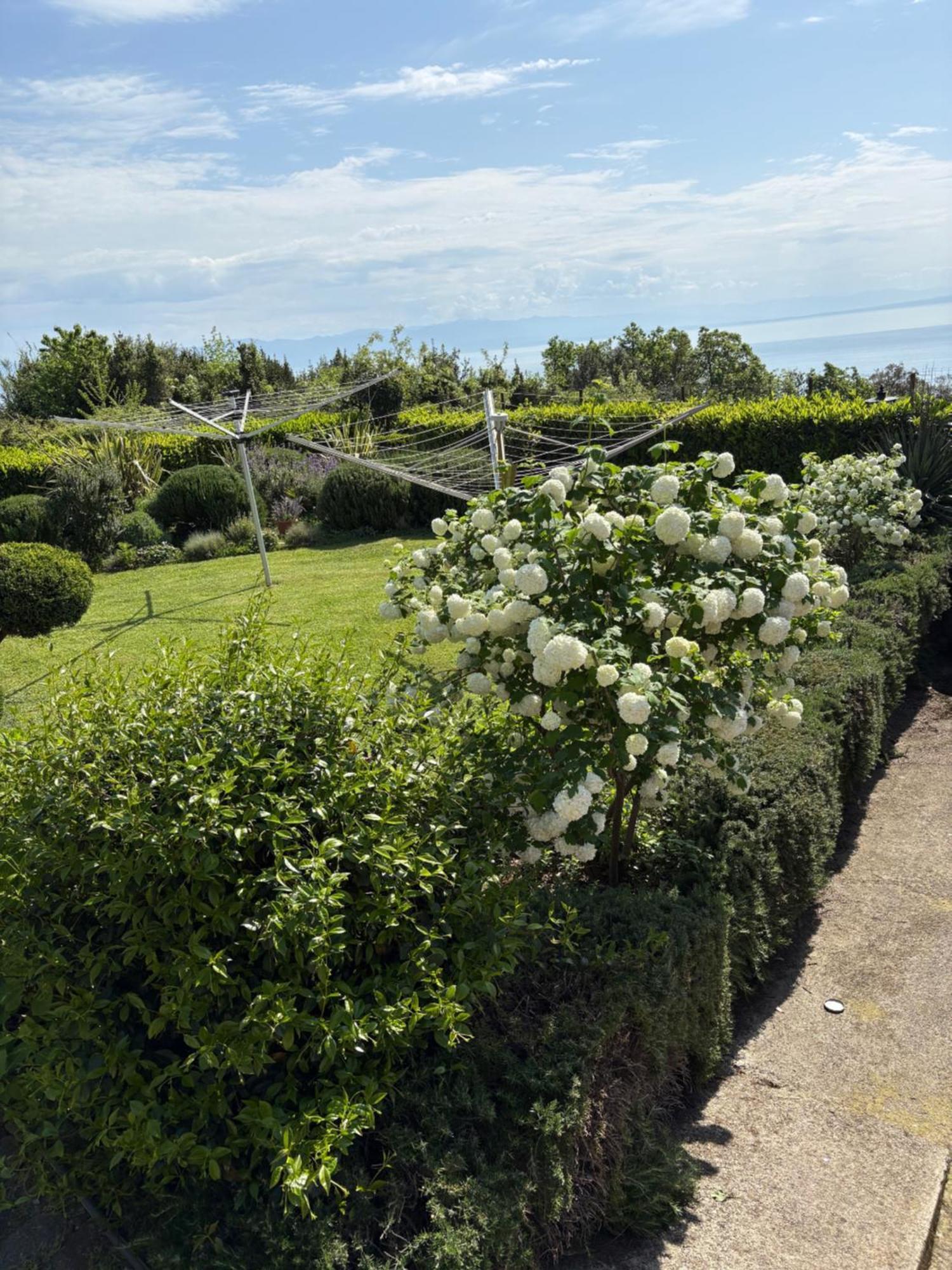 Bed And Breakfast Villa Iris Mošćenička Draga Exterior foto